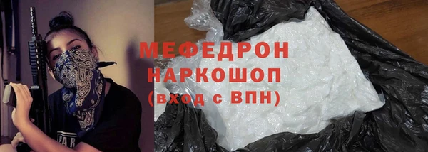 шишки Белокуриха
