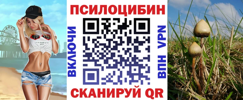 Псилоцибиновые грибы GOLDEN TEACHER  Зима 